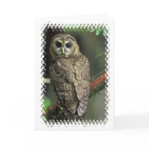Spotted Owl Greeting Card