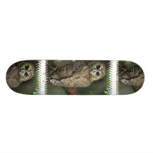 Spotted Owl Skateboard