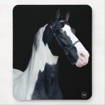 Spotted Saddle Horse Mouse Pads