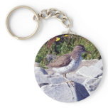 Spotted Sandpiper 1 Key Chain keychains