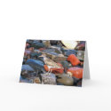 Spotted Sandpiper 2 Greeting Card