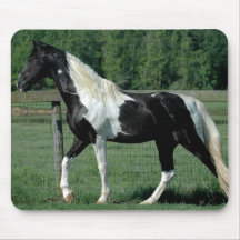 Spotted Walker Mousepad