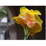 Spotted Yellow Flower photo sculptures
