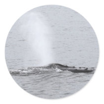 Spray Blowing Humpback Print