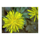 Spray Flower Personalized Invitations
