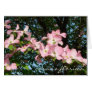 spray of pink dogwood  "cornus florida" card