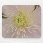 Spray Stamen Mousepad