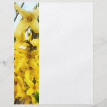 Sprig of Forsythia Flyers