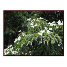 ~ Spring 38 ~ Post Cards