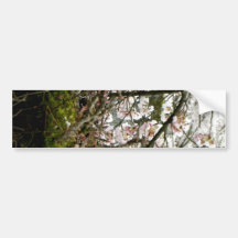 Spring and Moss Bumper Sticker