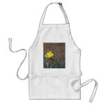Spring! Aprons