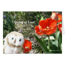 Spring at Last! Greeting Card