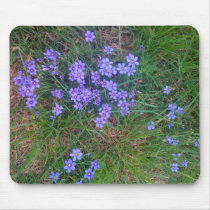 Spring Backyard Asters '09 Mouse Mat