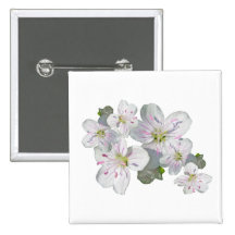 Spring Beauty Wildflower Coordinating Items Button