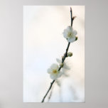 Spring Bliss Posters