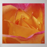 spring bloom print