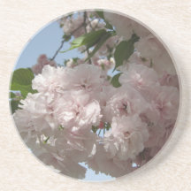 Spring blooming Coaster