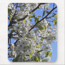 Spring Blooms mousepads