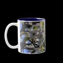 Spring Blooms mugs