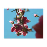 Spring Blooms postcards