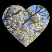 Spring Blooms stickers