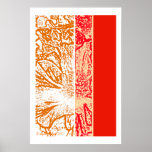 Spring Blossom posters