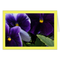 Spring Blossoms I Cards