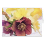 Spring Bouquet - Hellebores and Daffodils Greeting Card