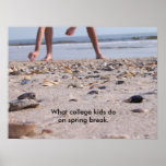 Spring Break Poster posters