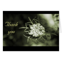 Spring Buds Card