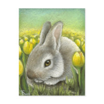 Spring bunny postcard