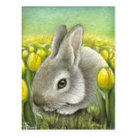 Spring bunny postcard