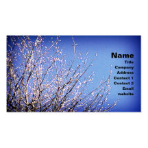 Spring, business card template