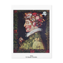 Spring By Giuseppe Arcimboldo Postcards