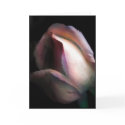 spring cards