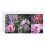 Spring Collage Photocard