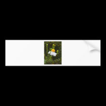 Spring Colour bumper stickers