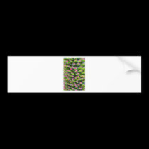 Spring Colour bumper stickers