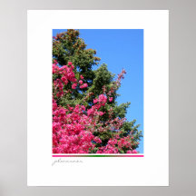 spring crabapple tree poster