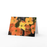 spring creations cards