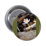 Spring Crocus Buttons