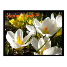 Spring Crocus Postcard Invitations