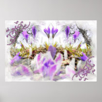 Spring Crocuses Print