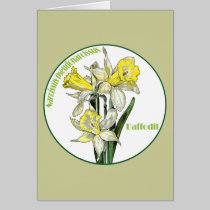 Spring Daffodils cards