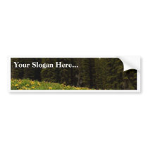 Spring Dandelions Flowers Near Lake Louise Banff N Bumper Stickers