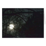 Spring Equinox Full Moon Greeting Card