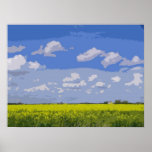 SPRING FIELDS posters