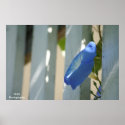 Spring Flower posters