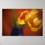 Spring Flower posters