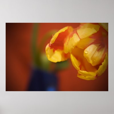 Spring Flower Posters by vladstudio